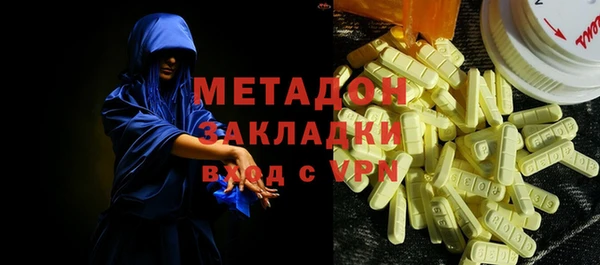ГАЛЛЮЦИНОГЕННЫЕ ГРИБЫ Козловка