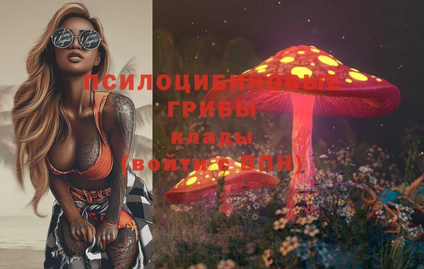 МДПВ Киреевск