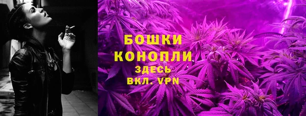 ГАЛЛЮЦИНОГЕННЫЕ ГРИБЫ Козловка