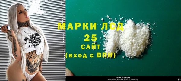 ГАЛЛЮЦИНОГЕННЫЕ ГРИБЫ Козловка