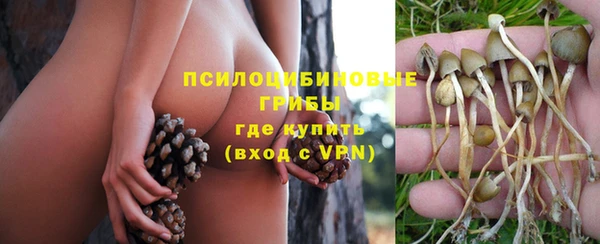 эйфоретик Краснослободск