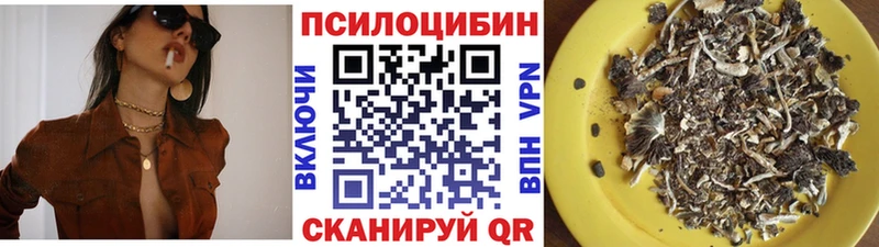 Псилоцибиновые грибы Cubensis гидра как зайти Котовск