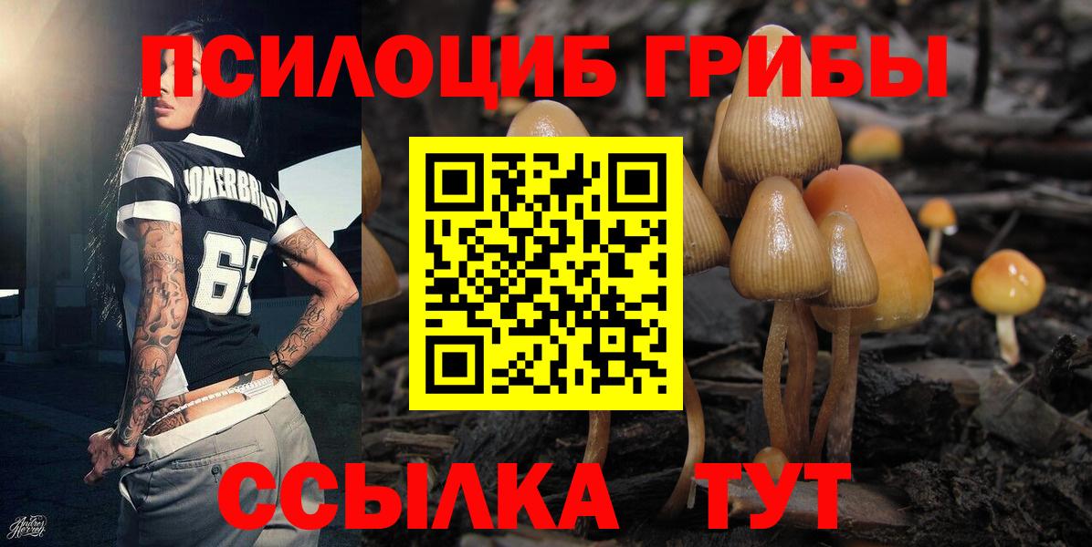 Котовск  Псилоцибиновые грибы MAGIC MUSHROOMS  Вход с VPN 